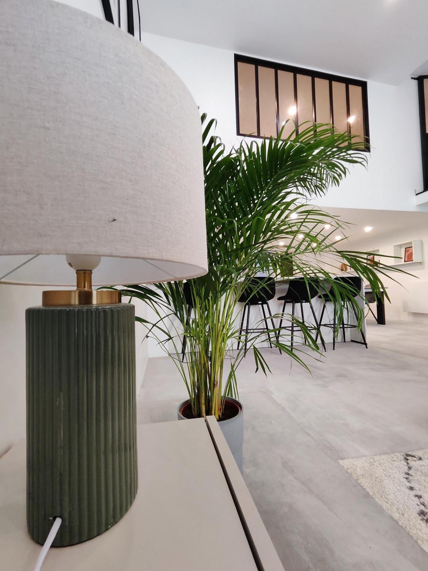 Beautiful Apartments & Loft In Beziers Center 外观 照片